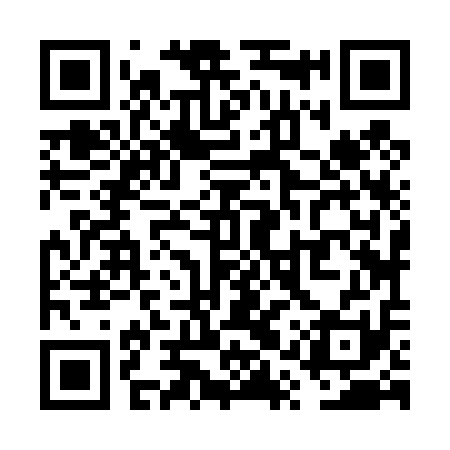 QR code for VQZ411