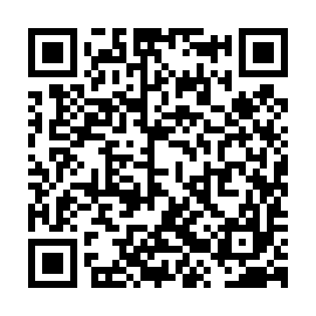 QR code for VRY497