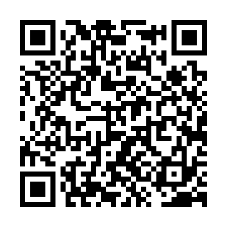 QR code for VSD333