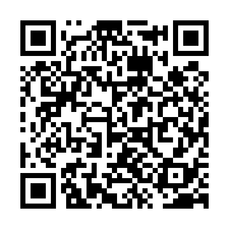 QR code for VSE538