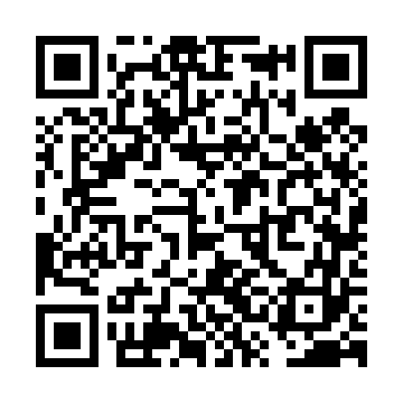 QR code for VSF463