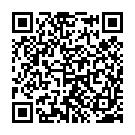 QR code for VSI493