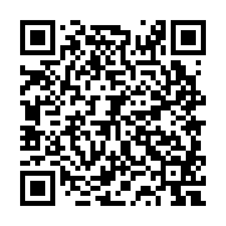 QR code for VSM384