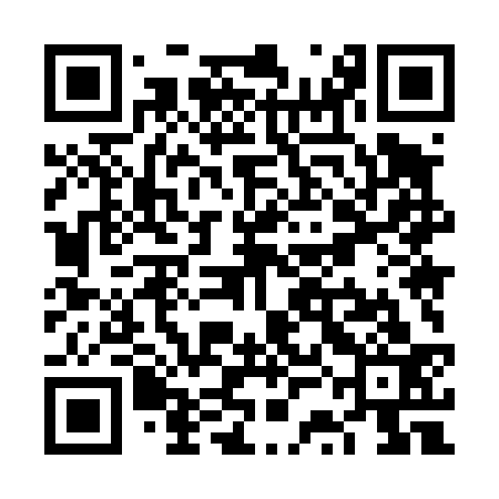 QR code for VSM433