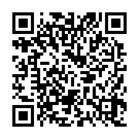 QR code for VSP338