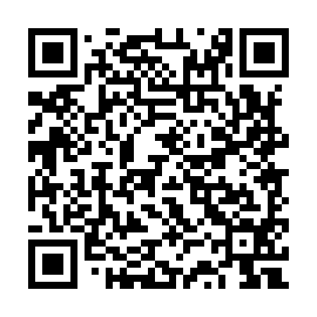 QR code for VSP994