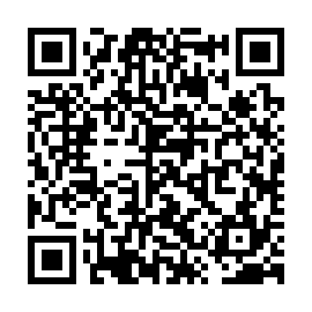 QR code for VSR334