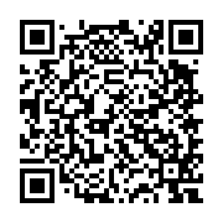 QR code for VSU495