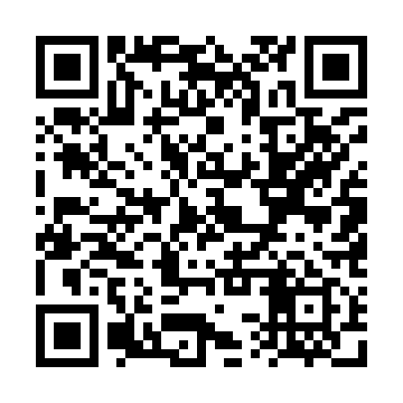 QR code for VSU919