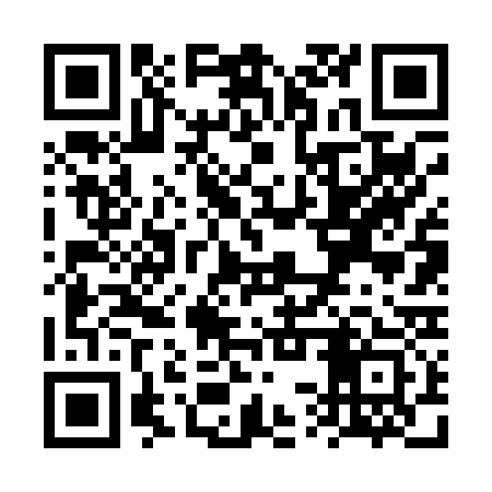 QR code for VSV033