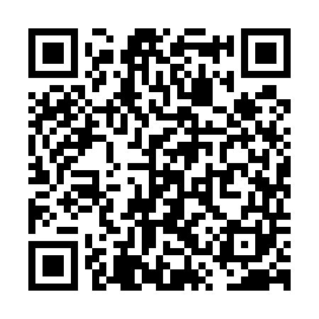 QR code for VSY541