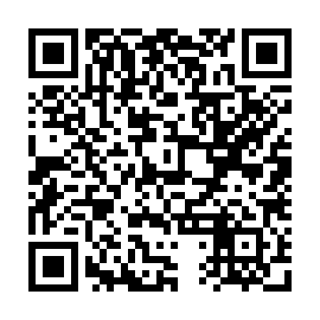 QR code for VTG381