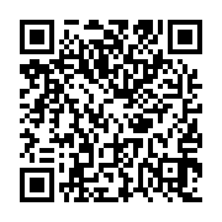 QR code for VVF113