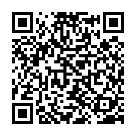QR code for VVI529