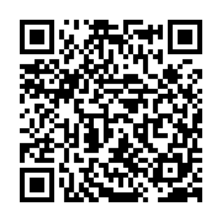 QR code for VVI955