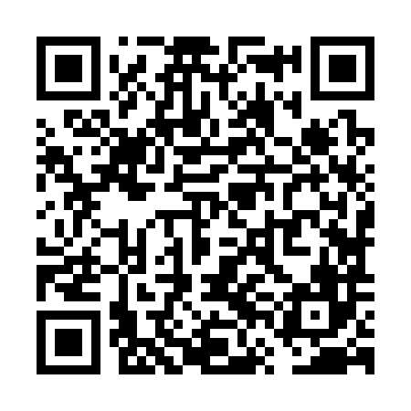 QR code for VVJ386
