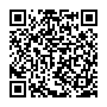 QR code for VVM173