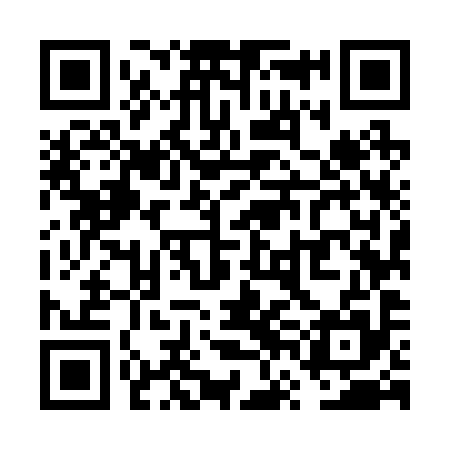 QR code for VVM295