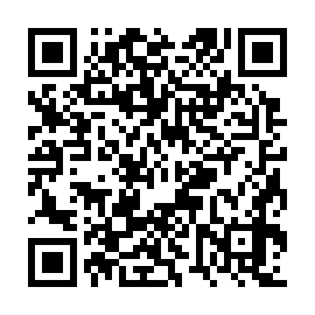 QR code for VVS378