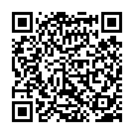 QR code for VVS638