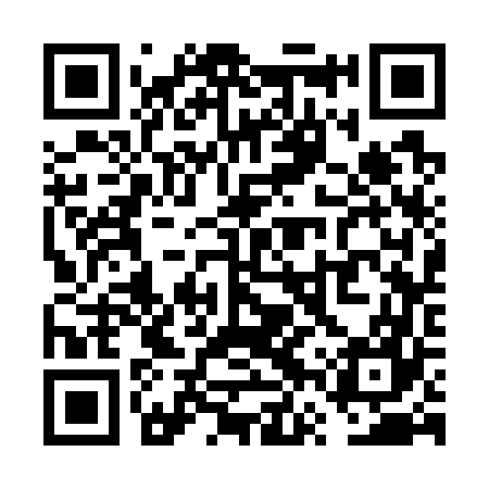 QR code for VVS767