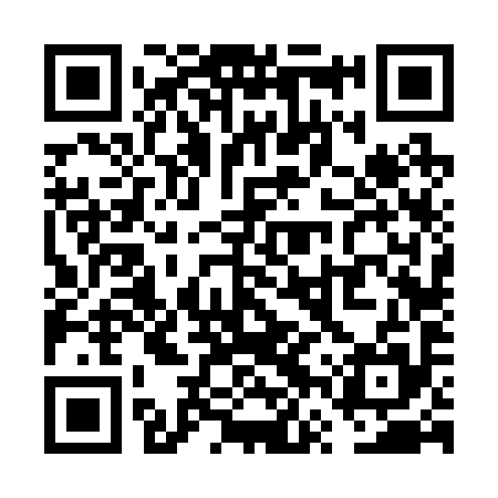 QR code for VVV295