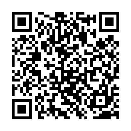 QR code for VWO417