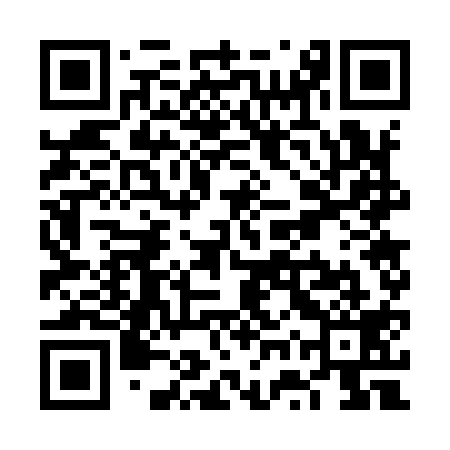 QR code for VWW919
