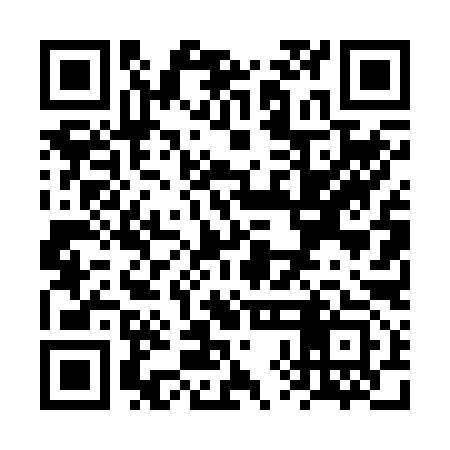 QR code for VXD293