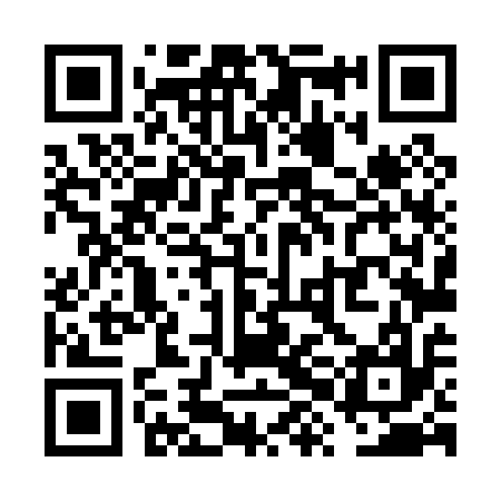 QR code for VXL017