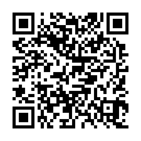 QR code for VXL301