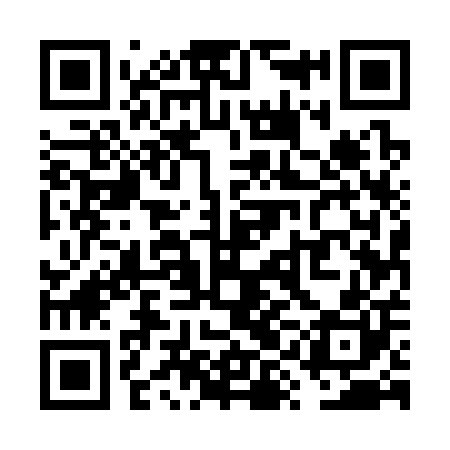 QR code for VYE300