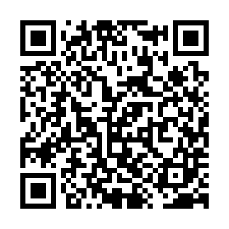 QR code for VYE383