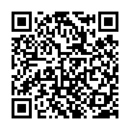 QR code for VYE699