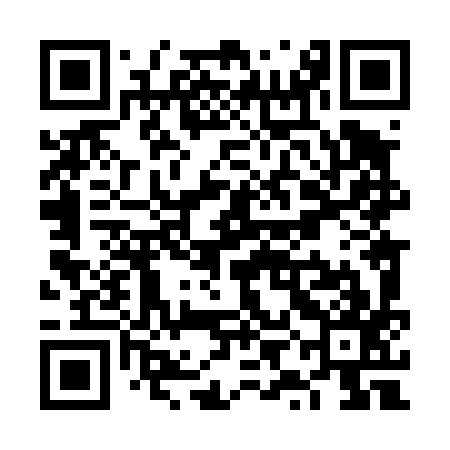 QR code for VYL497