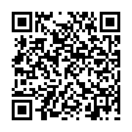 QR code for VYO303