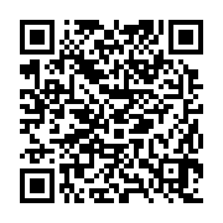 QR code for VYR382