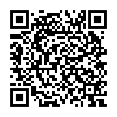 QR code for VYS251