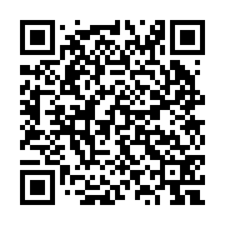 QR code for VYS272