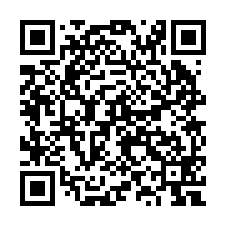 QR code for VYS299