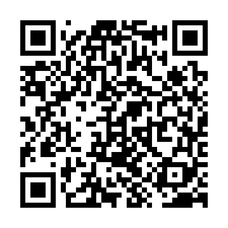 QR code for VYS369