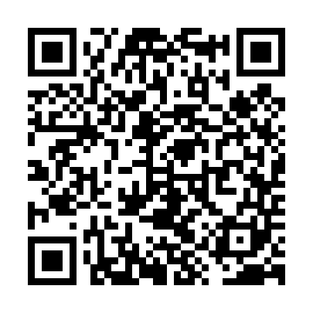 QR code for VYS441