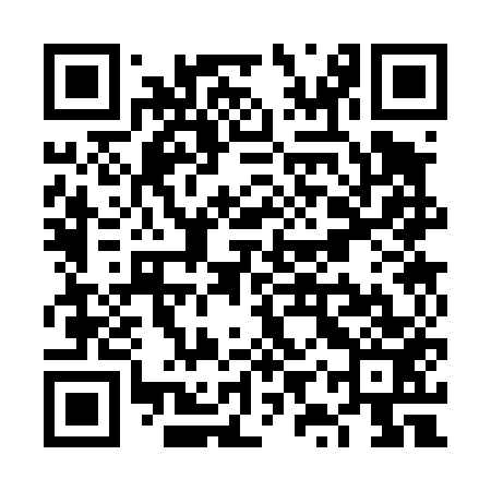 QR code for VYS453