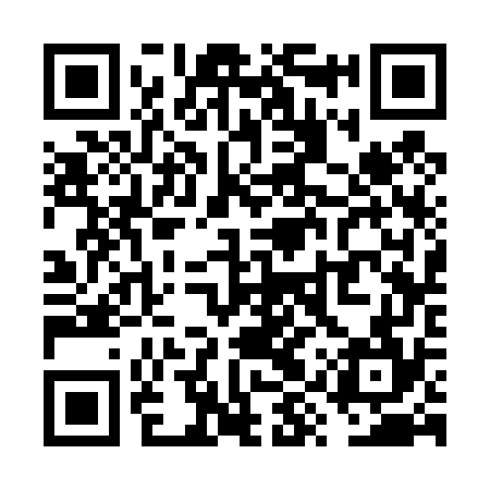 QR code for VYS474