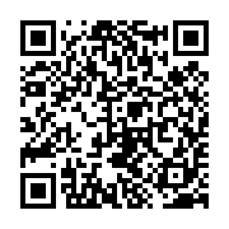 QR code for VYS490