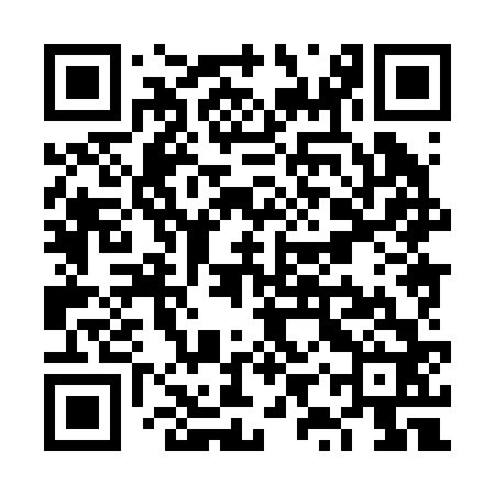 QR code for VYX262