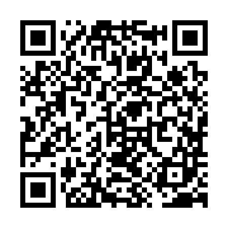 QR code for VYZ383