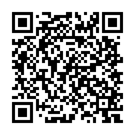 QR code for VYZ541