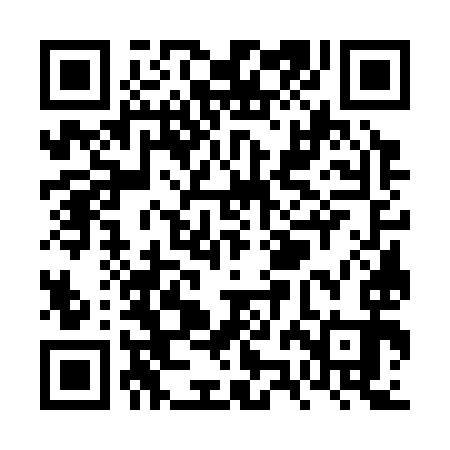 QR code for VZG393