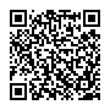 QR code for VZG656